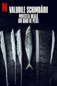 Turn of the Tide: The Surreal Story of Rabo de Peixe